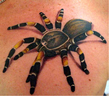 Tattoos - Realistic Spider Tattoo - 49325